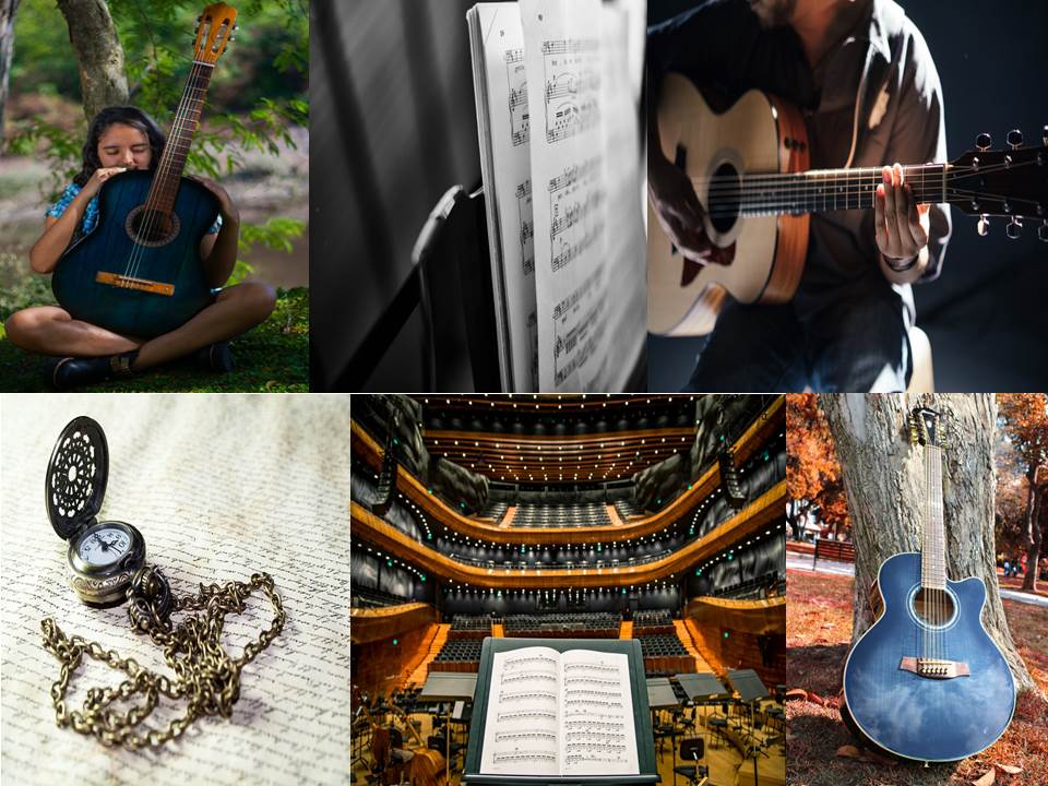 UNA CHITARRA PER VIOLA_collage foto2.jpg